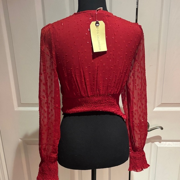 Elegant Red V-Neck Blouse with Sheer Sleeves - Picture 4 of 10